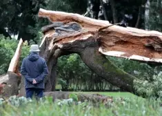 Rīt Vidzemes piekrastē gaidāms bīstami spēcīgs vējš - Rīgā var tikt lauzti koki