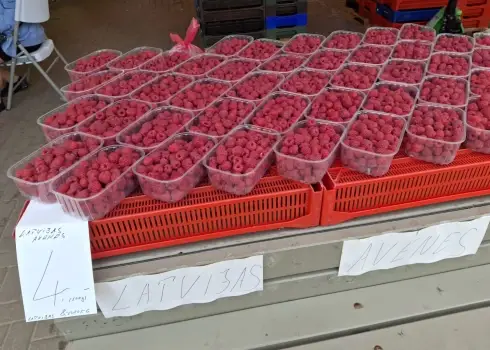 Cik maksā ogas, sēnes un dārzeņi Rīgas Centrāltirgū? 