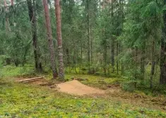 Gaujas Nacionālajā parkā kāds nelikumīgi ierīkojis kalnu nobraucienu trasi