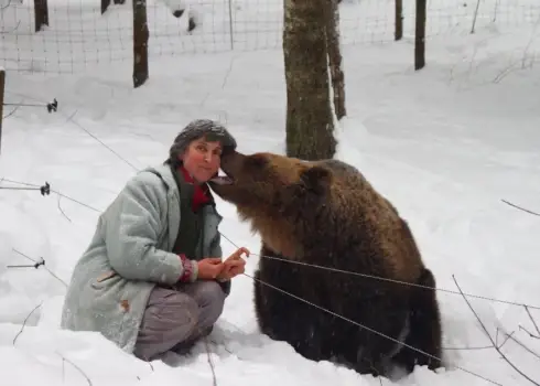 Līgatnes lācenei Ilzītei jau 25 gadi
