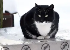 Jaunnedēļ Latvijā saglabāsies ziemīgi laikapstākļi