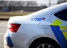 Atrasta Patrīcija Krevica