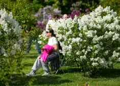 19 gadus ilgs pētījums atklāj negaidītu patiesību par sēdošu dzīvesveidu